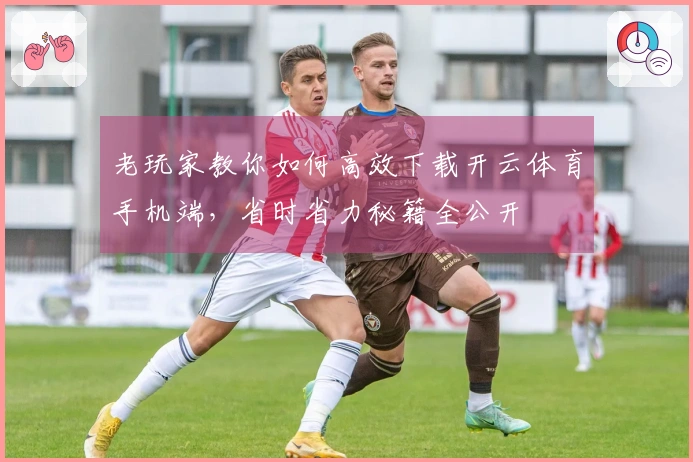 老玩家教你如何高效下载开云体育手机端，省时省力秘籍全公开