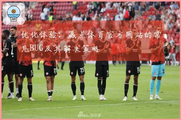 优化体验：赢点体育官方网站的常见BUG及其解决策略
