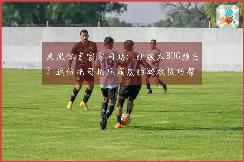 凤凰体育官方网站：新版本BUG频出？这份老司机压箱底的游戏技巧帮你稳赚不亏！